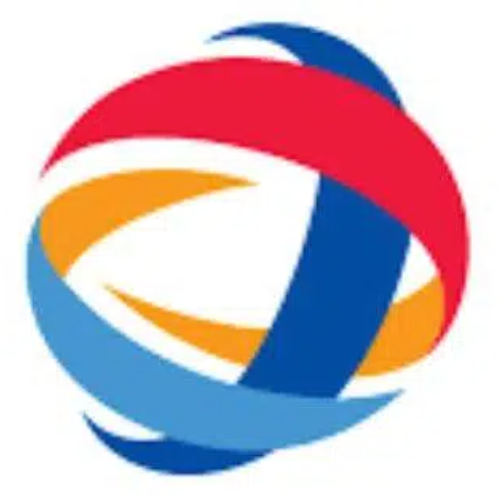 东升国际 logo